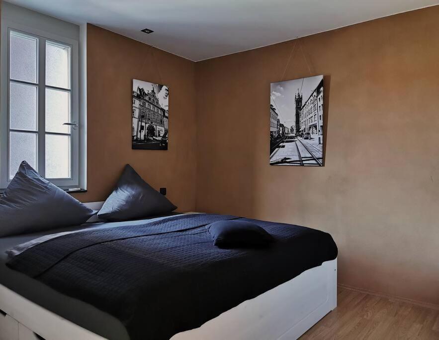 Ferienwohnung Im Bruehl Эрфурт Экстерьер фото